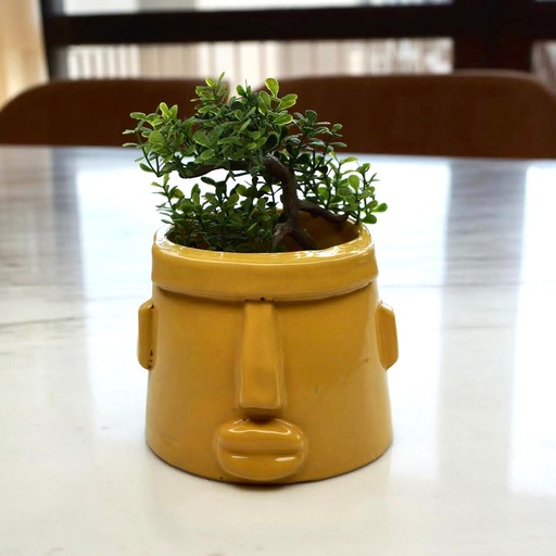 [395] Yellow Pottery Pot ⁩