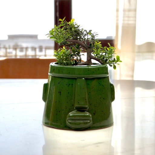 [394] Green Pottery Pot